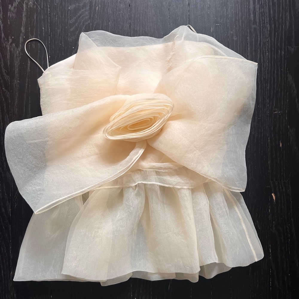 Zara top